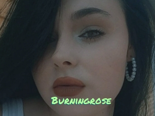 Burningrose