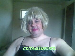 CDJANINE1182