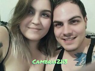 Cambria2113
