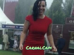 CarnalCam