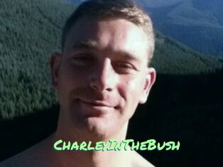 CharleyInTheBush Gothicorgien
