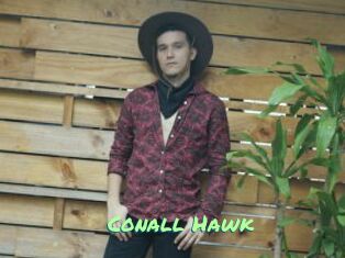 Conall_Hawk