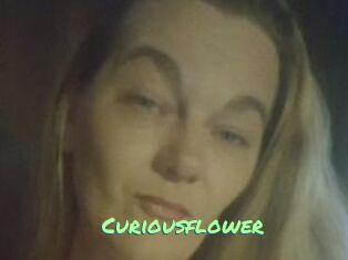 Curiousflower