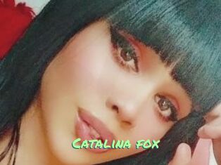 Catalina_fox