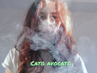 Cato_avocato