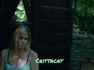 Crittacat