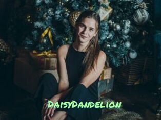 DaisyDandelion
