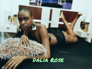 Dalia_Rose