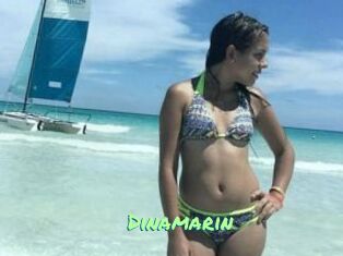 Dinamarin