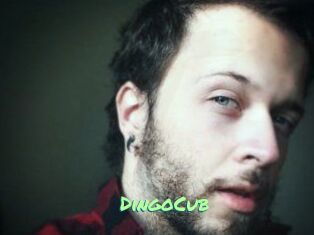 DingoCub