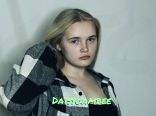Daisygambee