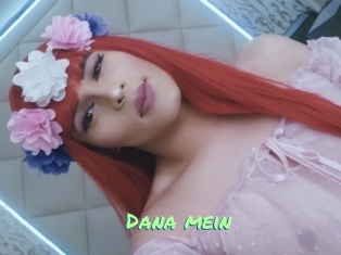 Dana_mein