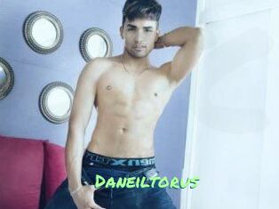 Daneil_torus