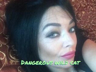 dangerous_wild_cat Gothicorgien