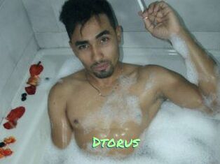 Dtorus