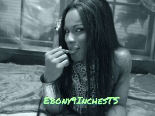 Ebony9InchesTS