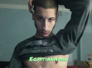 EgyptianAmin