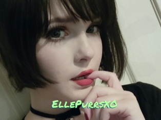 EllePurrsXO