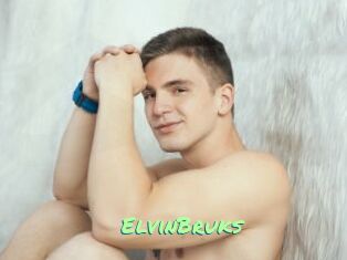 ElvinBruks