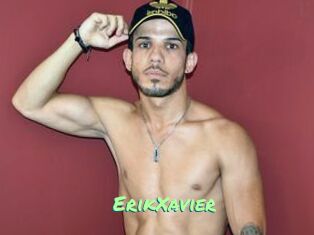 ErikXavier