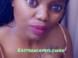 Easterncapeflower
