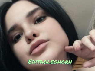 Editagleghorn
