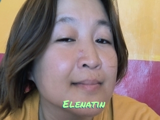 Elenatin