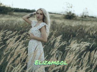 Elizamool