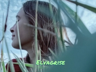 Elvagrise