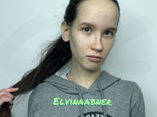 Elvinaabner