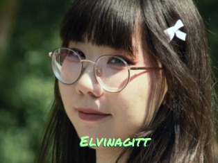Elvinagitt