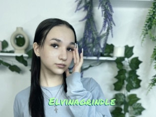 Elvinagrindle
