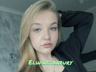 Elwinedanbury