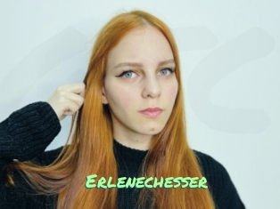 Erlenechesser