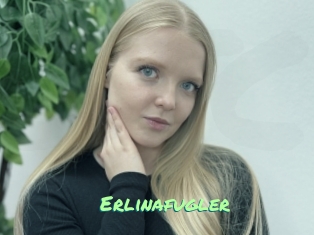 Erlinafugler