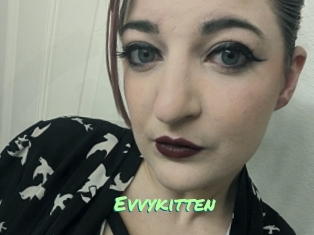 Evvykitten
