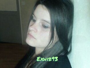 Exhib93