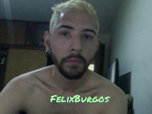 FelixBurgos