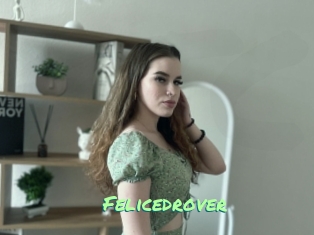 Felicedrover