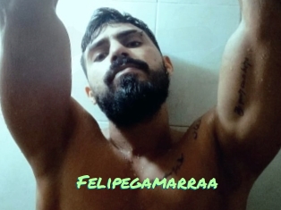 Felipegamarraa