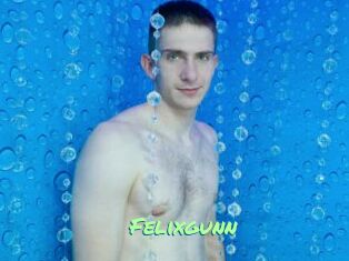 Felixgunn