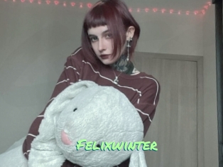 Felixwinter