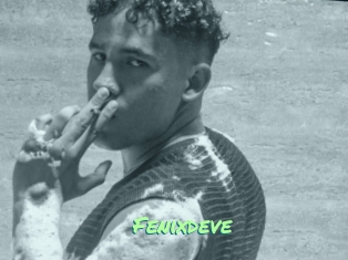 Fenixdeve