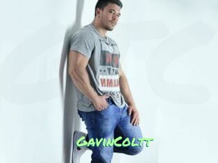 GavinColtt