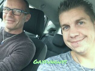 Gayfunguys