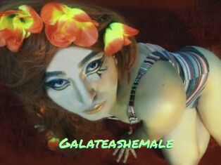 Galateashemale