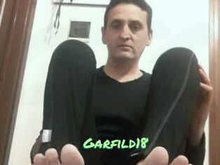Garfild18