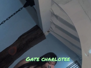 Gate_charlotee