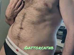 Gattorcatnb