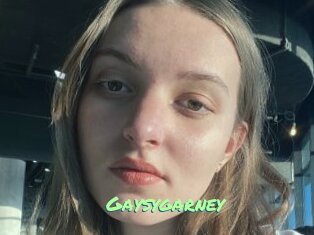 Gaysygarney